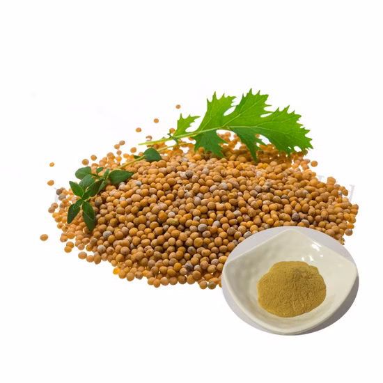 Senfkörner zum Fabrikpreis im Großhandel mit bester Qualität